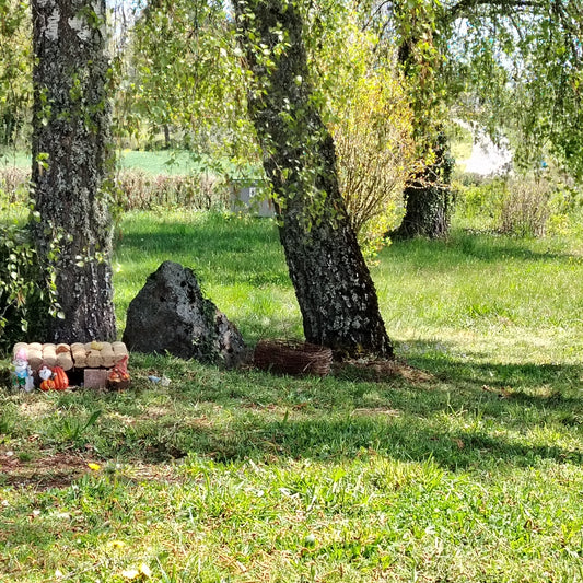 Espace de repos et de méditation sous les Grands Bouleaux
