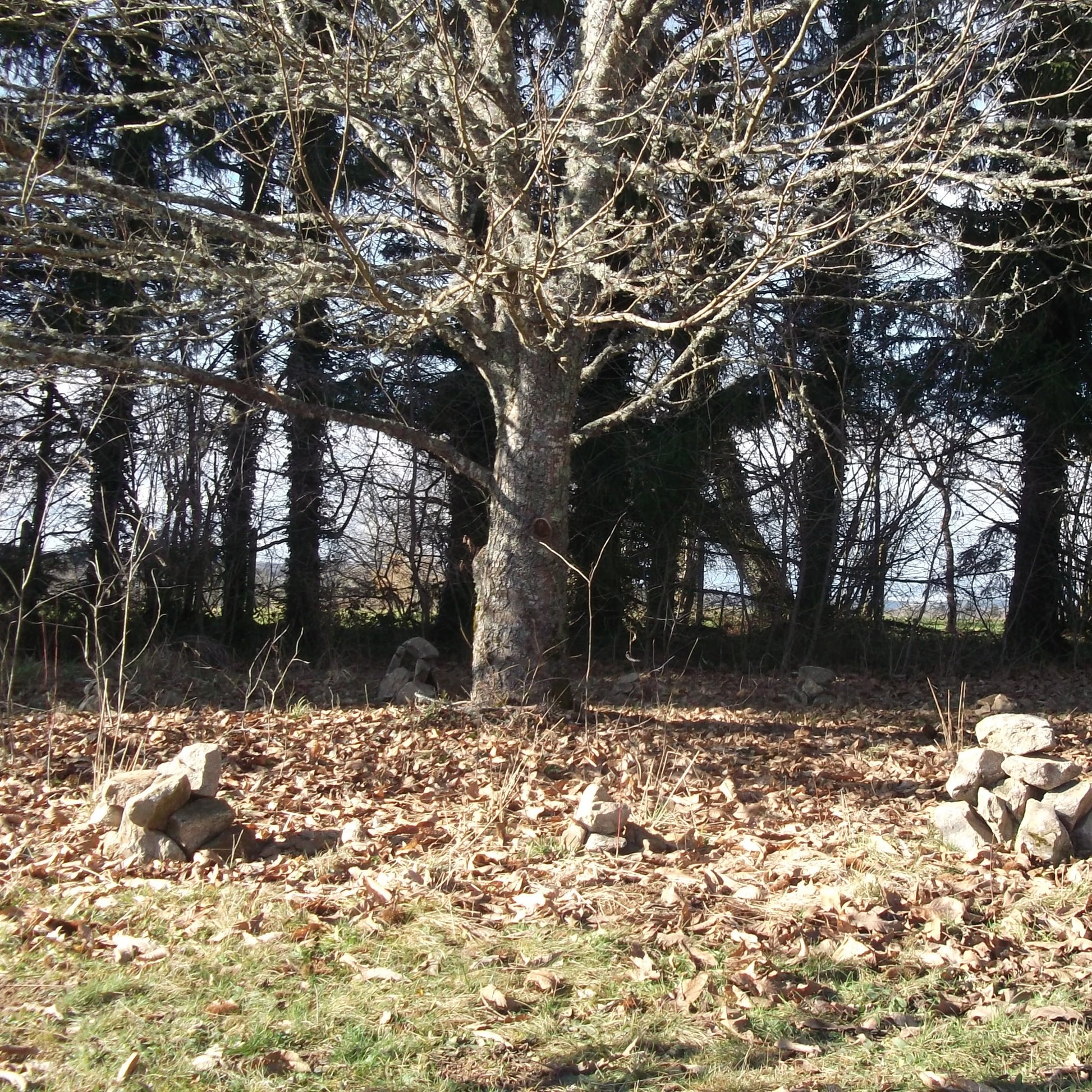 kromlech
