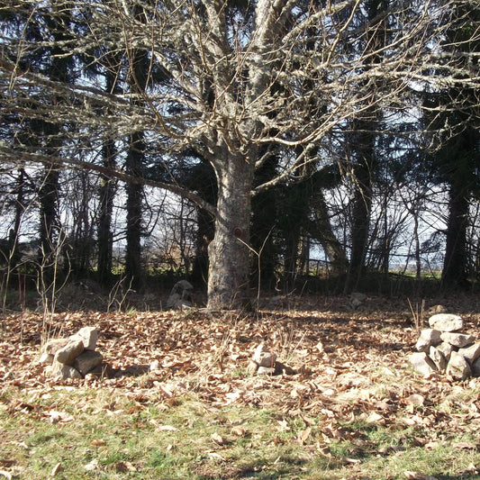 kromlech